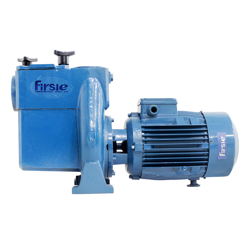 Swimming Pool Cast Iron Pump Water Pump