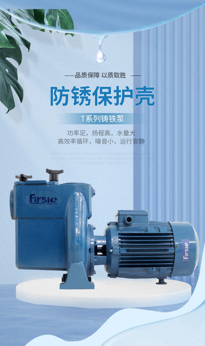法思乐T系列铸铁循环水泵(图1)