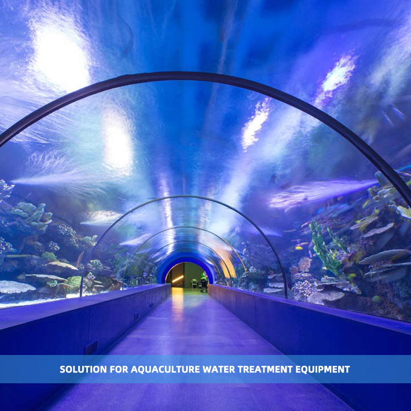 Solution for Aquarium Water Treatment Eq