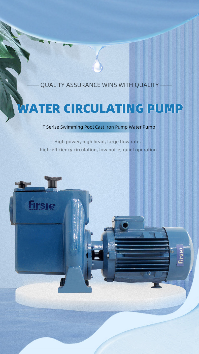 Swimming Pool Cast Iron Pump Water Pump(pic1)