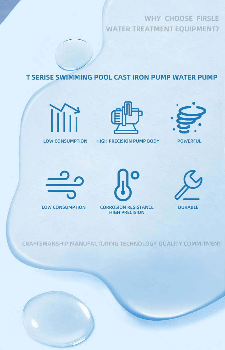 Swimming Pool Cast Iron Pump Water Pump(pic2)