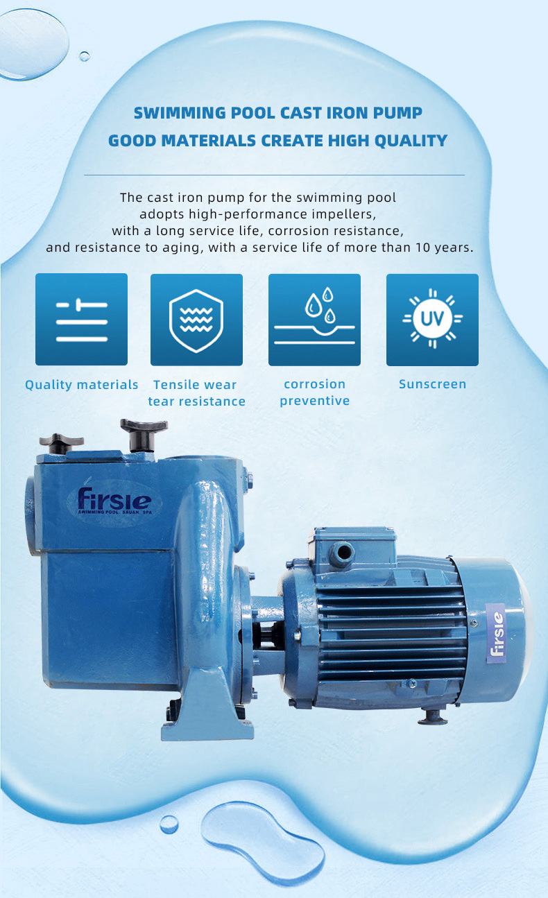 Swimming Pool Cast Iron Pump Water Pump(pic5)