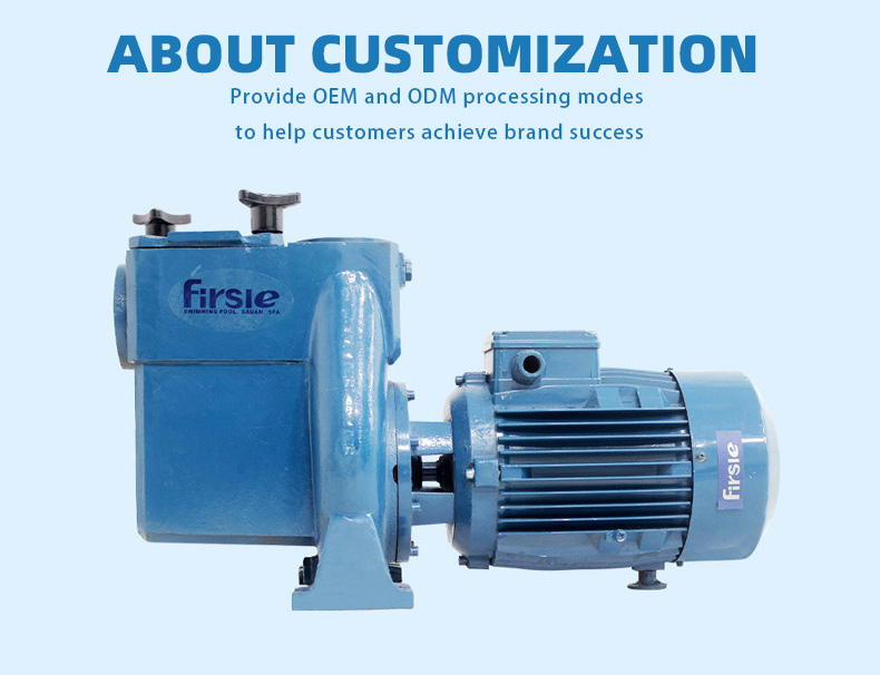 Swimming Pool Cast Iron Pump Water Pump(pic7)