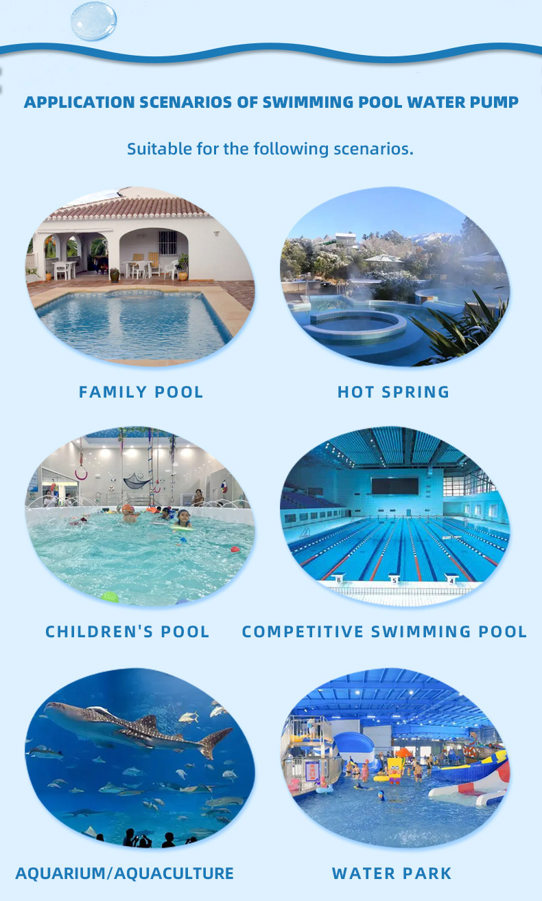 FAB series Swimming Pool Water Pump(pic3)