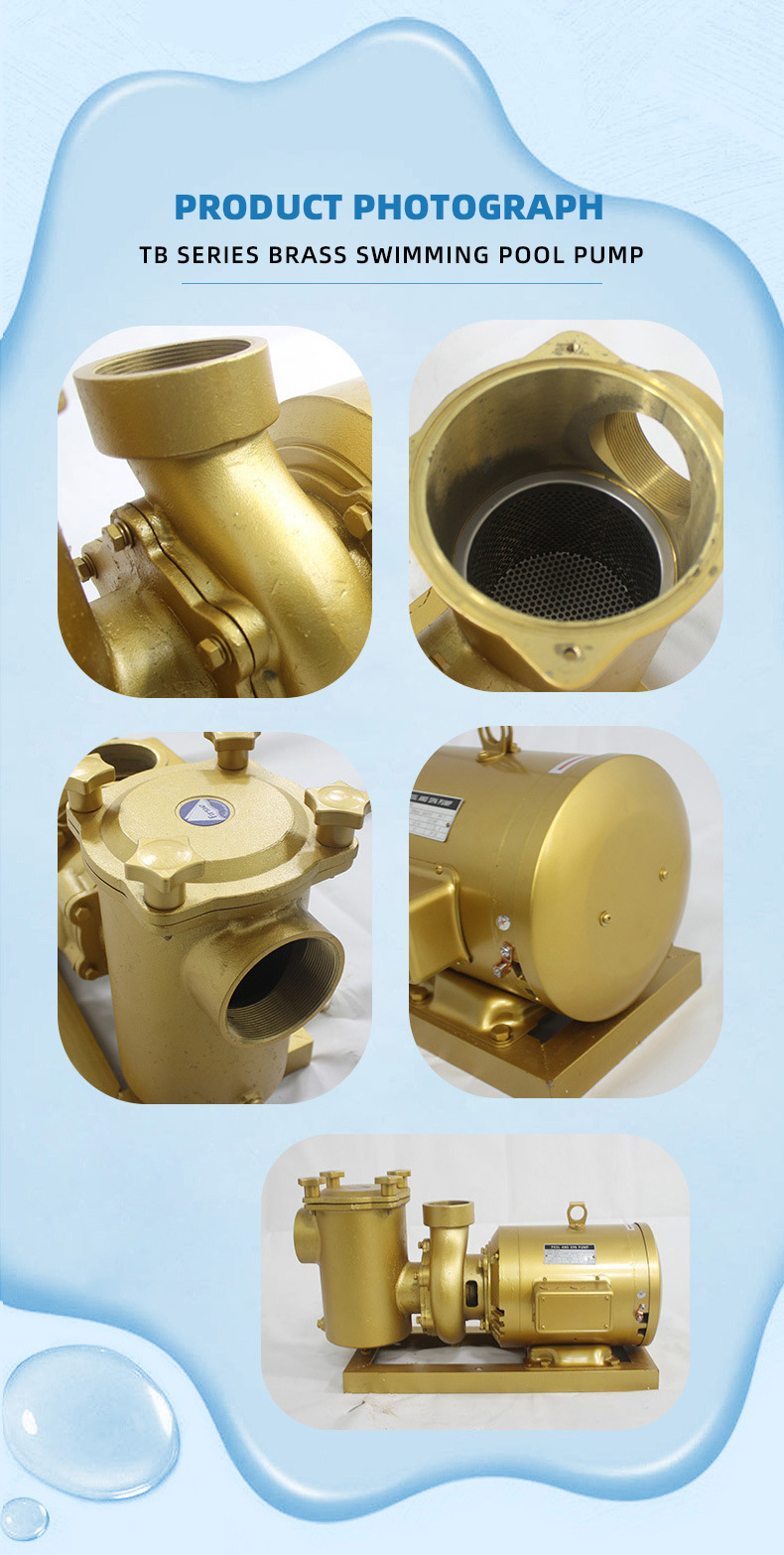 TB Series Brass Pump(pic6)
